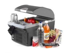 A Wagan Car Cooler and Warmer which is overall picked for road trips, (summer road trip essentials)
